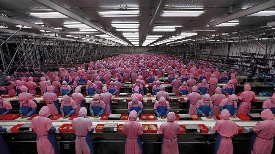 越南完全照抄中国模式将取代中国工厂成为新的世界工厂