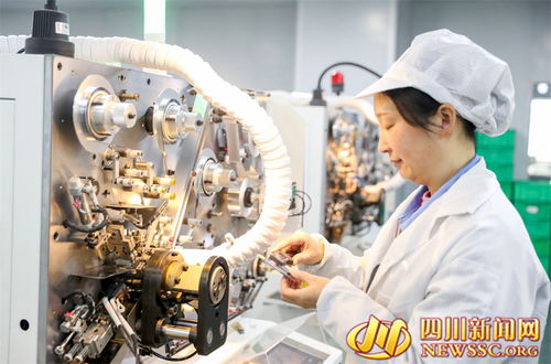 四川广安 培育新质生产力 助推工业经济发展 图
